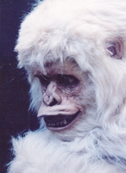 「世にも奇妙な物語」ゴリラ チャイチャイ表情2