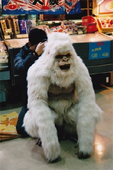 「世にも奇妙な物語」ゴリラフェイフェイ全身1