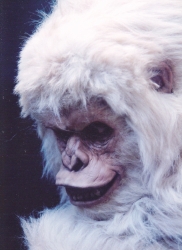 「世にも奇妙な物語」ゴリラ　チャイチャイ表情1