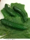 cucumber.jpg